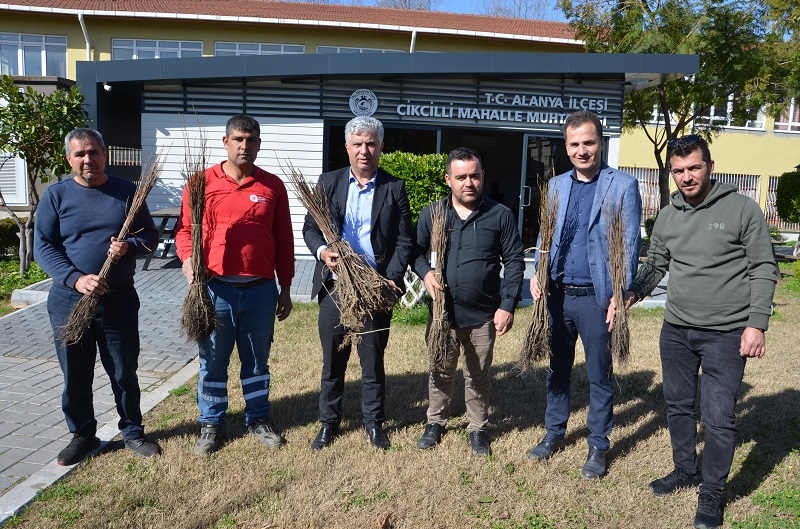 66 Mahallede meyve fidanları dağıtımı yapıldı