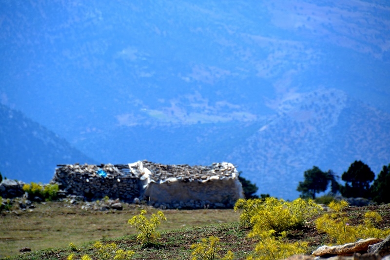 Antalya- Muğla sınırında bir serin mola…  GÖĞÜ BELİ