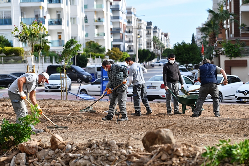 Hurma, daha yeşil olacak