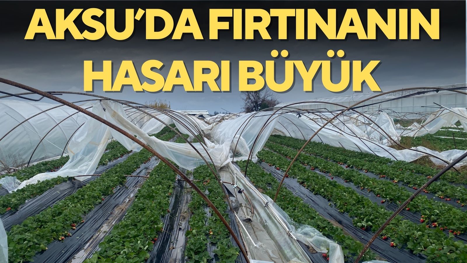 Aksu’da fırtınanın hasarı büyük