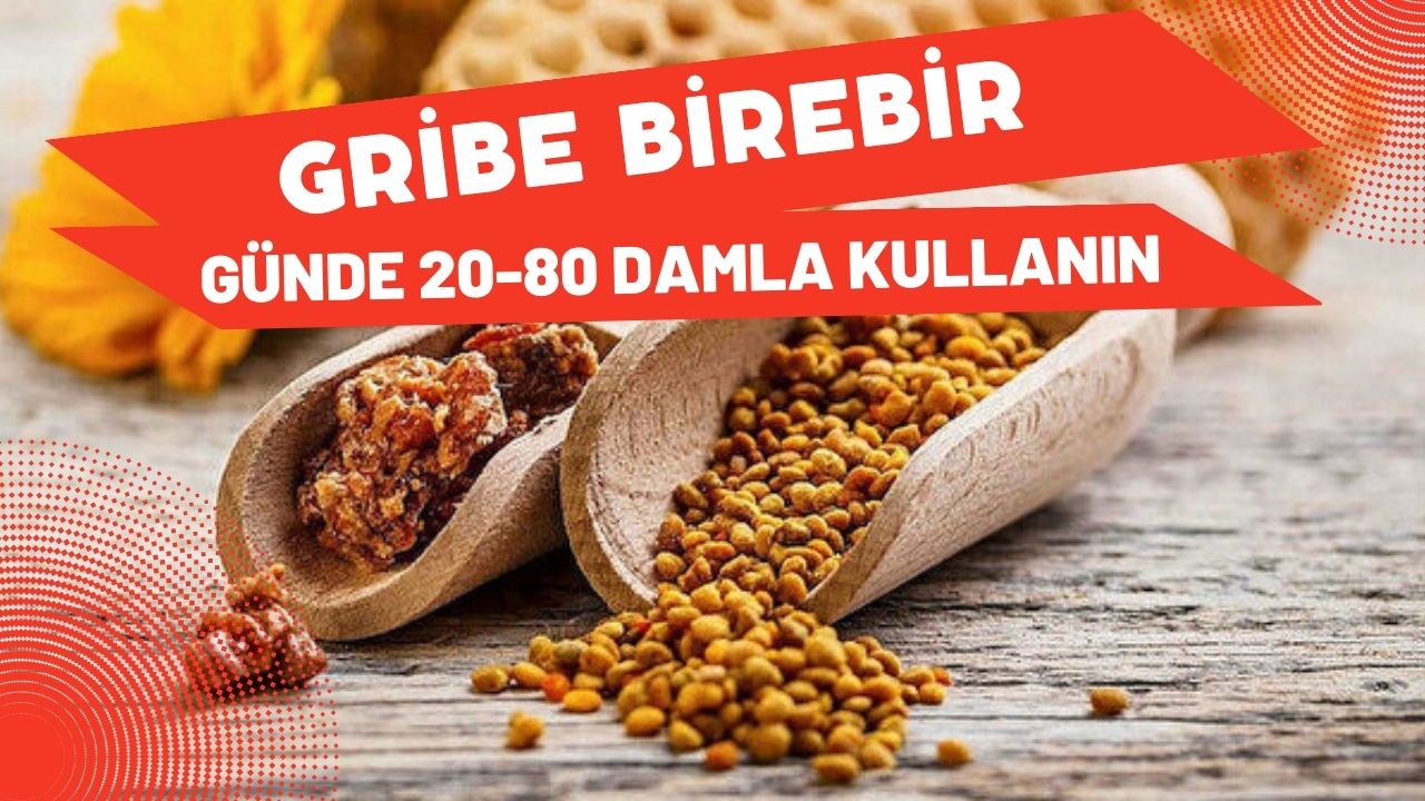 PROPOLİS, GRİBE KARŞI BİREBİR