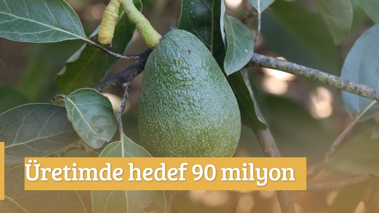 Üretimde hedef 90 milyon    