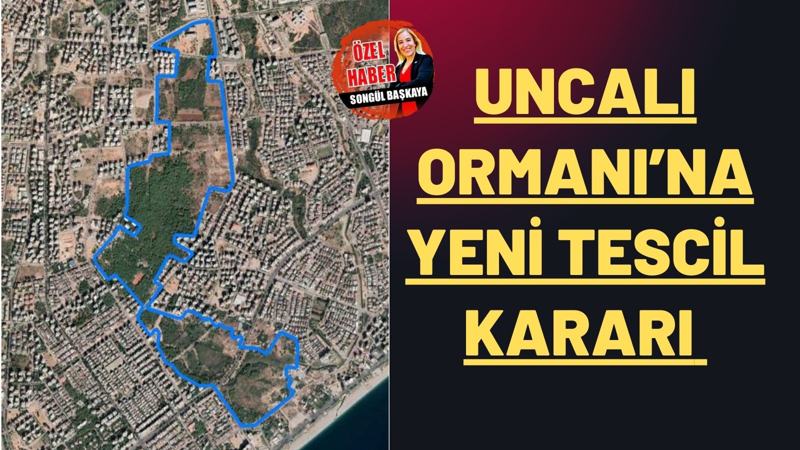 Uncalı Ormanı’na  yeni tescil kararı