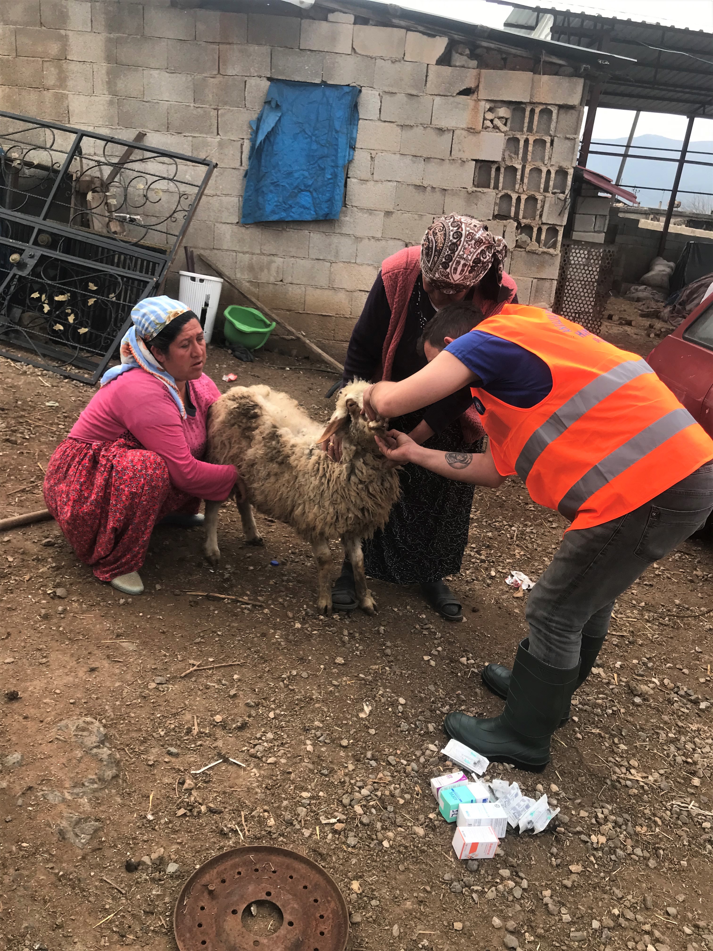 Büyükşehir veterinerleri Gaziantep’te