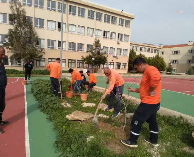 Tüm okul bahçelerine meyve ağacı dikildi