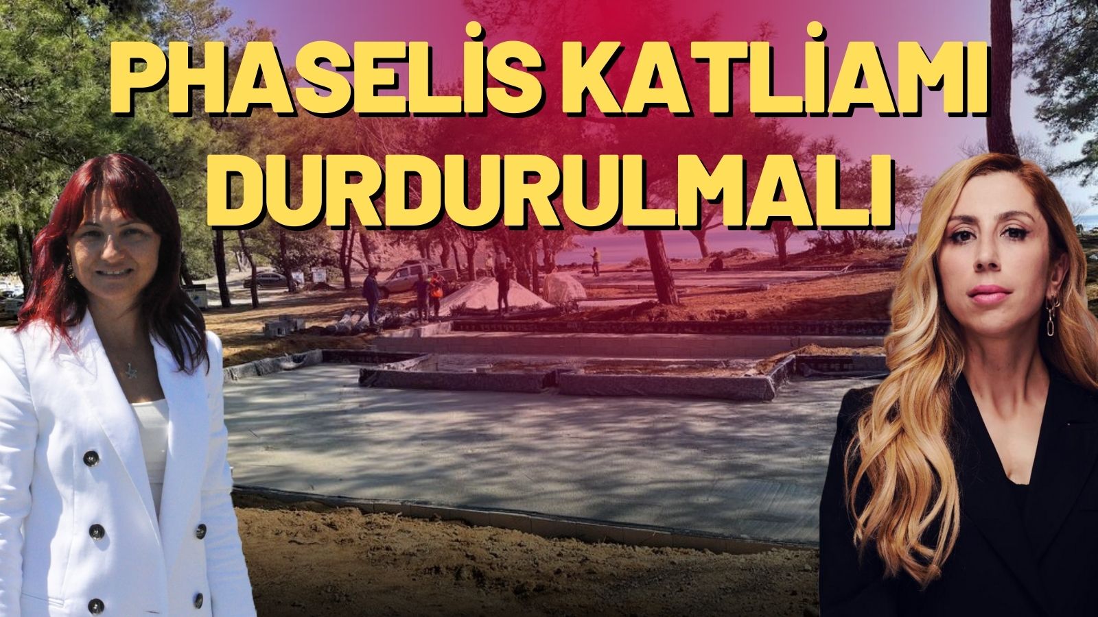 PHASELİS KATLİAMI DURDURULMALI