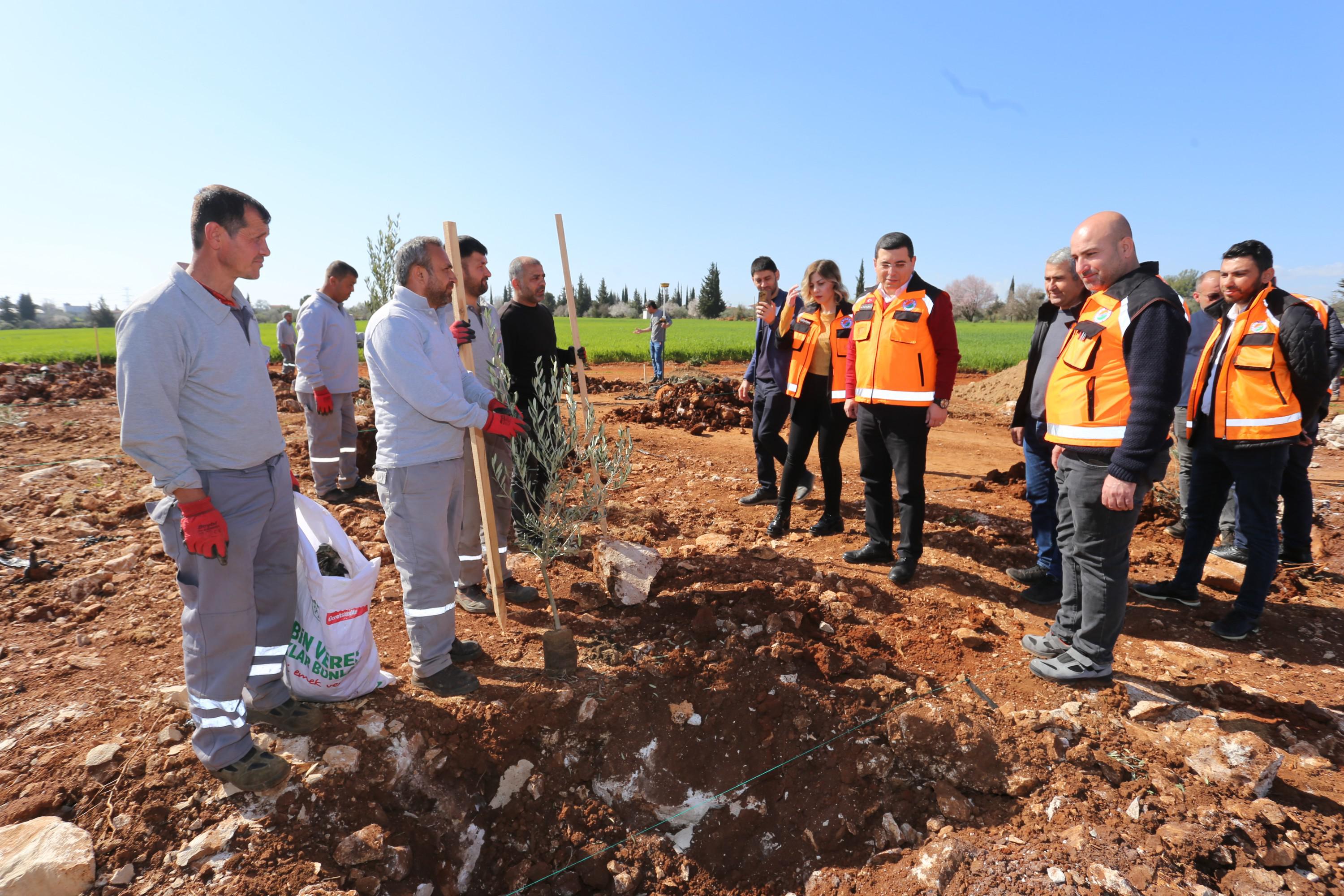 “Zeytin gelecek demek”