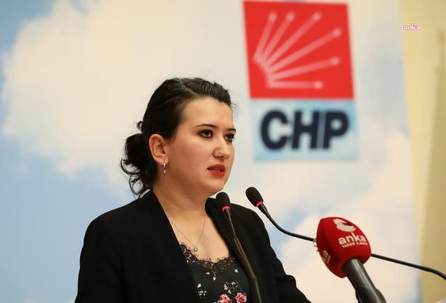 CHP’Lİ Gökçen’den AKP’nin sloganına Tarkan şarkısıyla yanıt