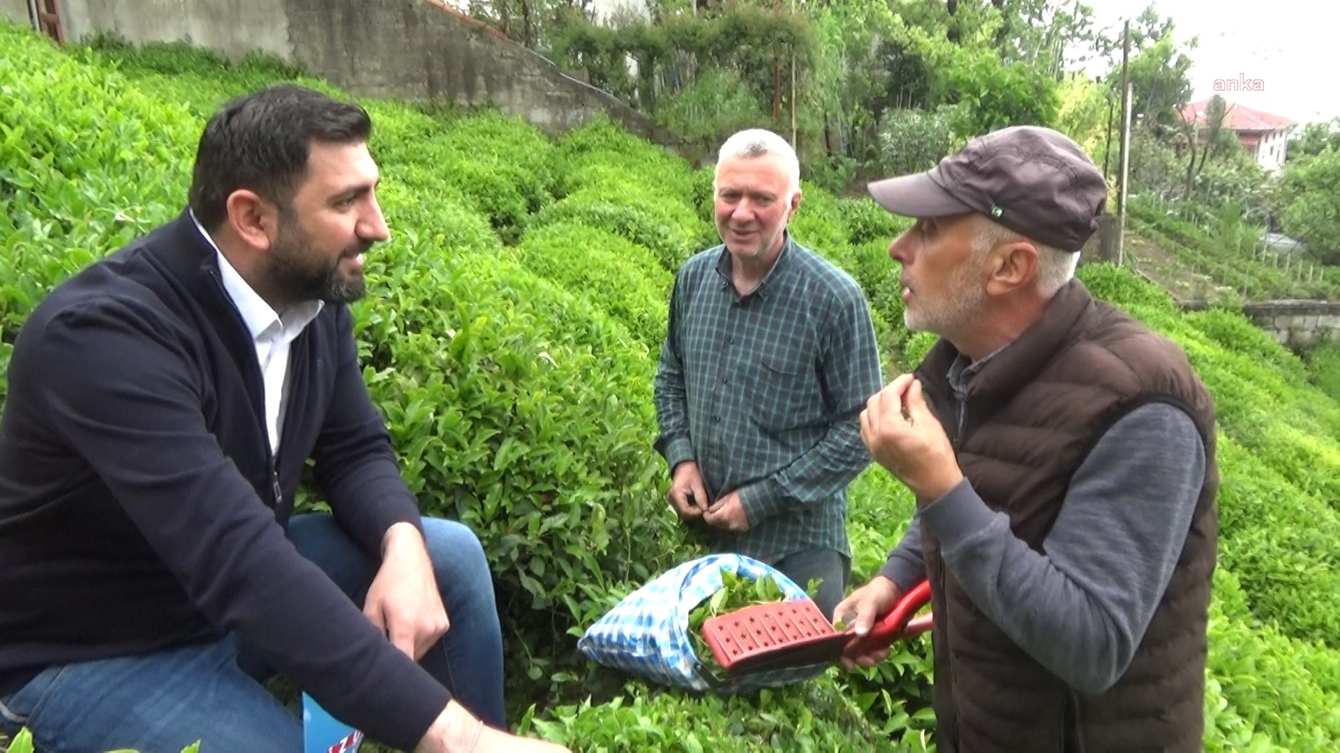 Çay üreticileri: Perişan bir durumumuz var