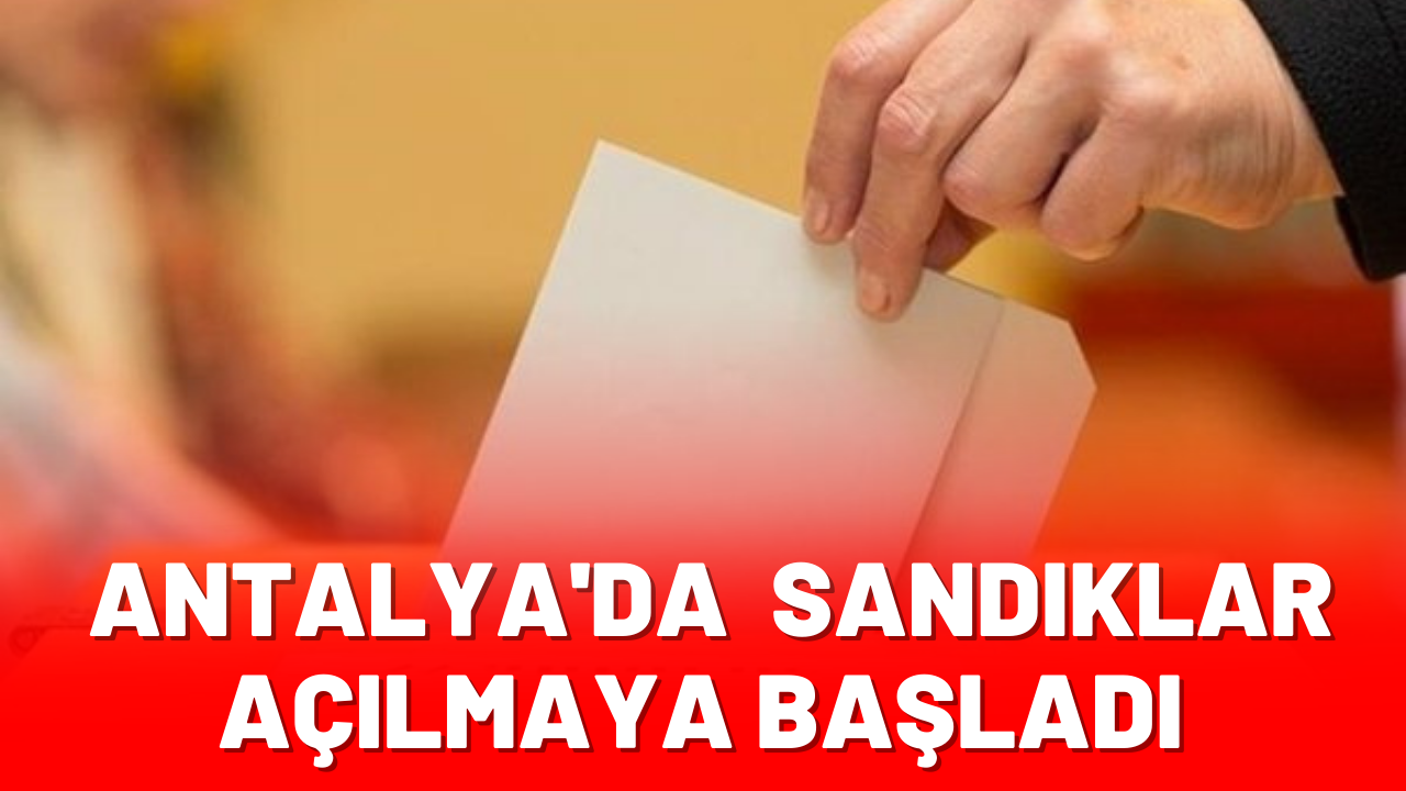 Sandıklar açılmaya başladı