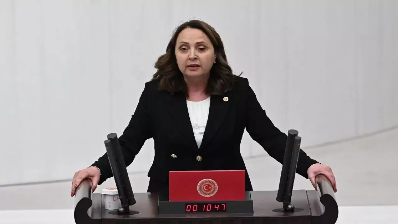 Semra Dinçer: “Atık ithalatı derhal durdurulmalıdır”