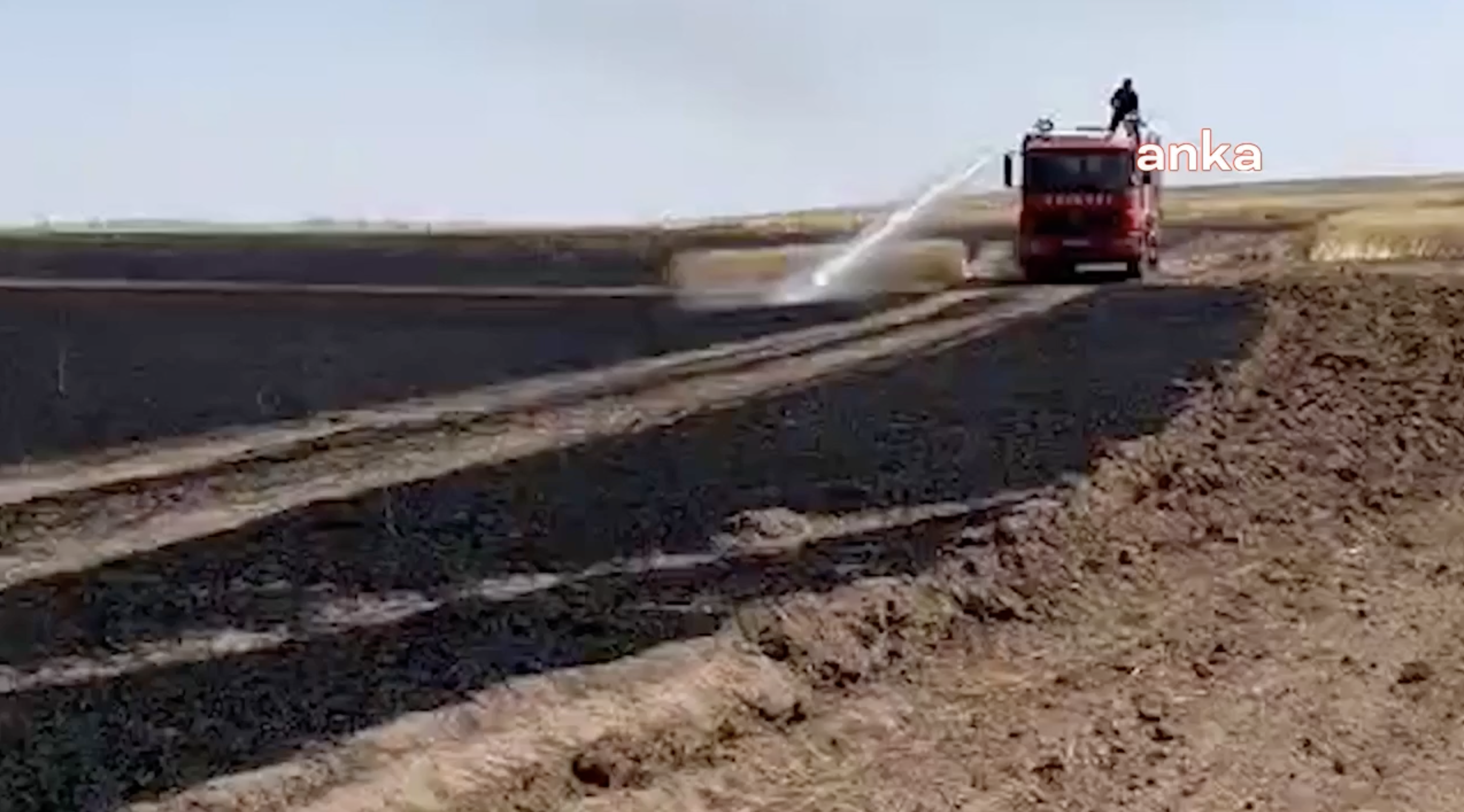 Aşırı sıcaklara bağlı yangında 200 dönüm buğday alanı kül oldu