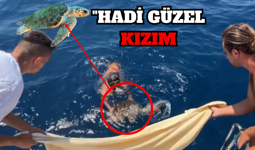 TEKNE KAPTANI CARETTA CARETTAYI ÖZGÜR BIRAKTI