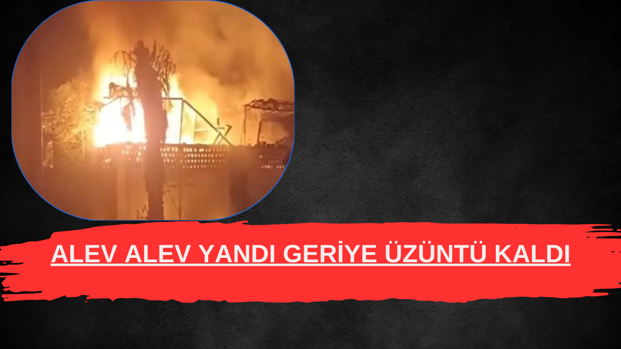 Alev alev yandı geriye üzüntü kaldı