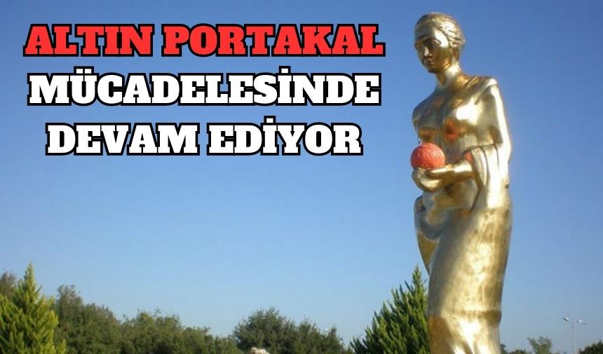 ALTIN PORTAKAL MÜCADELESİNDE devam ediyor