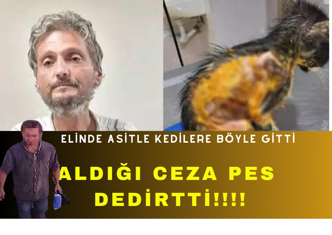 KEZZAPLI SALDIRIYA "PES" DEDİRTEN CEZA