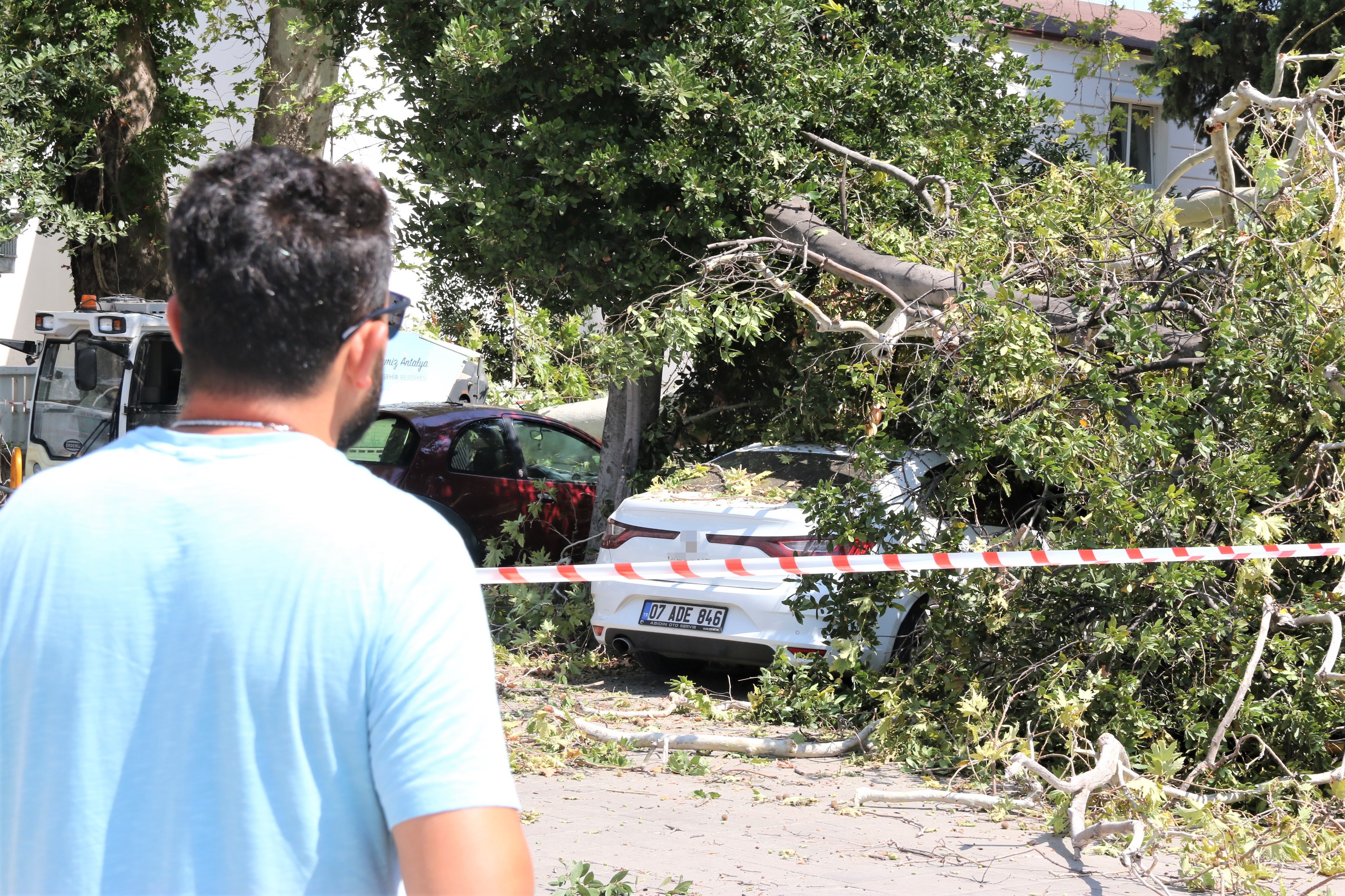 Çınar ağacının dalı 5 aracın üzerine düştü