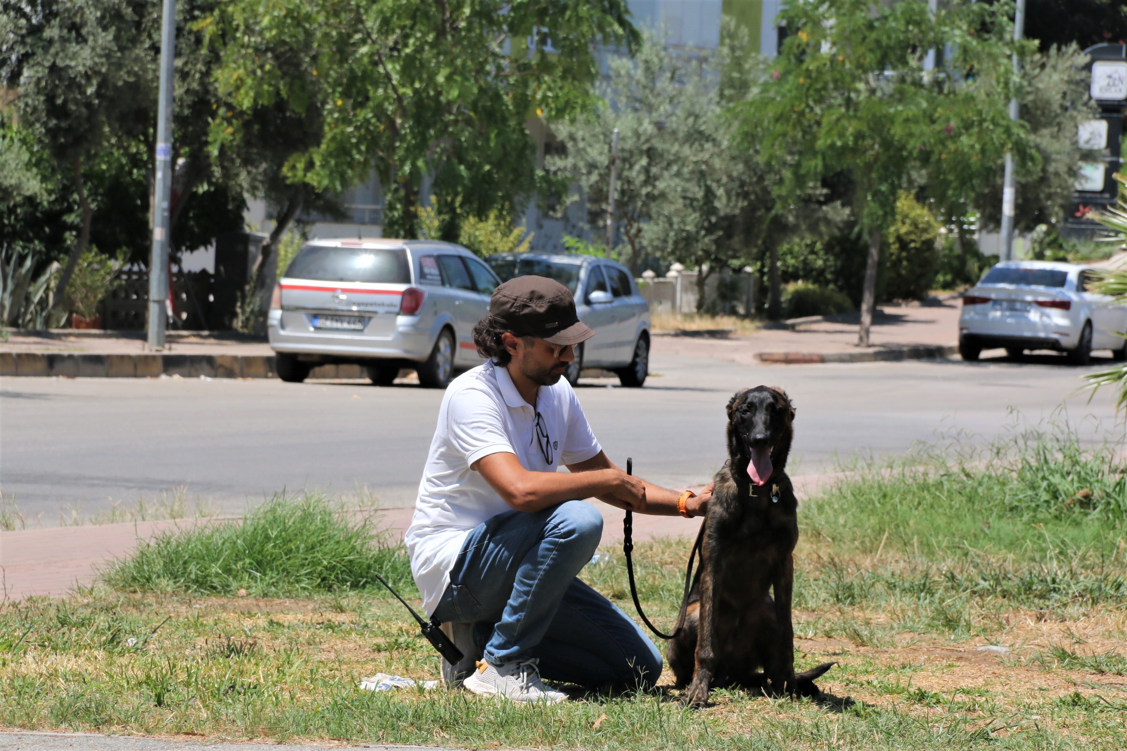 KÖPEK KAÇTI YETKİLİLER SEFERBER OLDU