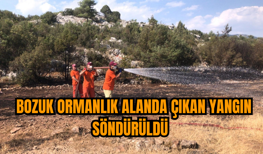 Bozuk ormanlık alanda çıkan yangın söndürüldü  