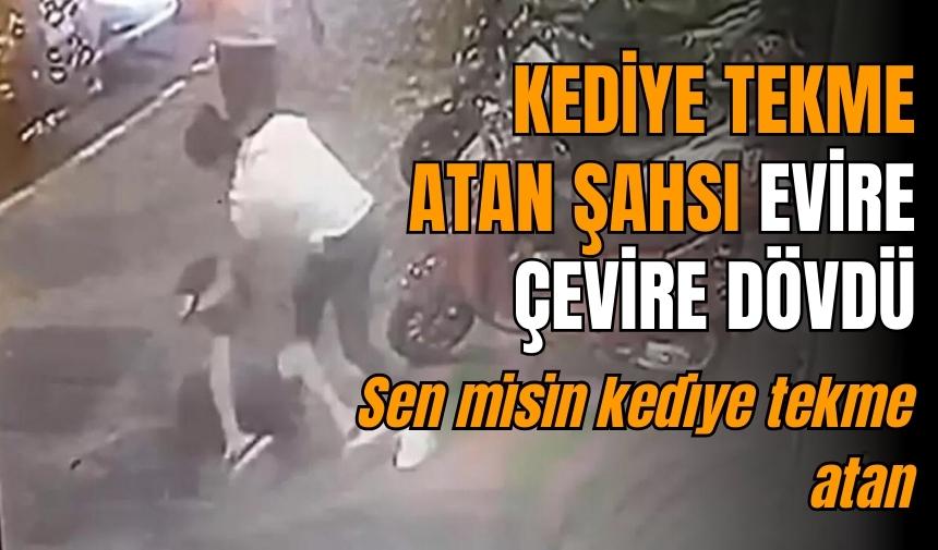 KEDİYE TEKME ATAN ADAM MEYDAN DAYAĞI YEDİ