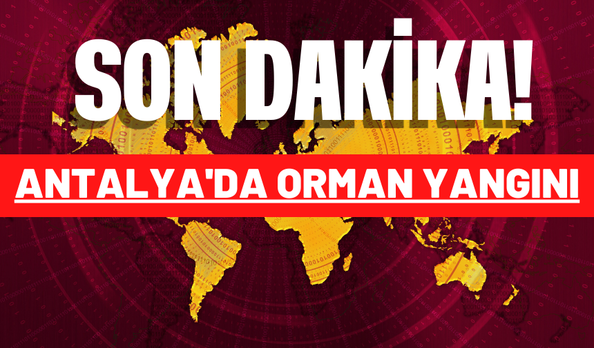 ANTALYA'DA BİR ORMAN YANGINI DAHA