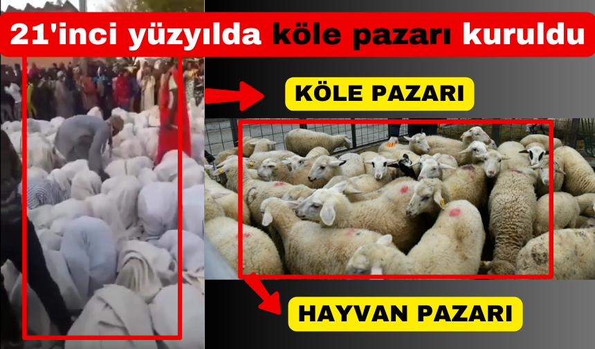 21'inci yüzyılda köle pazarı kuruldu