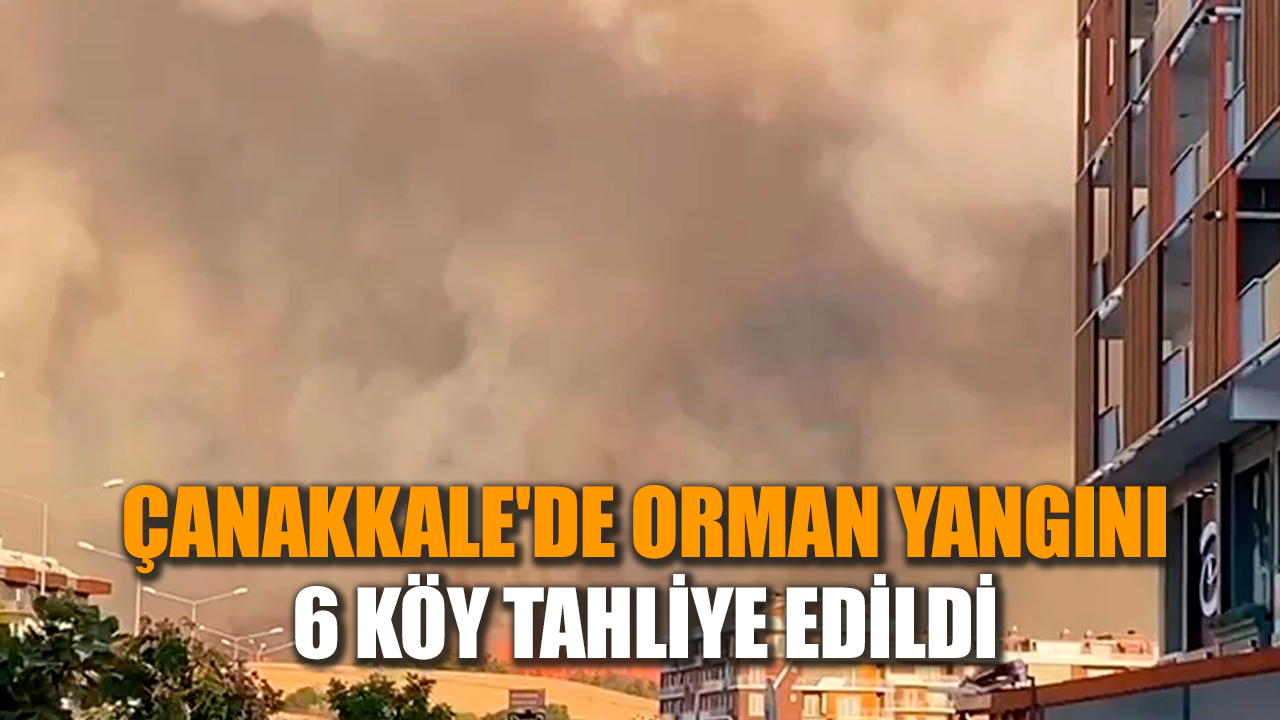 Çanakkale'de orman yangını: 6 köy tahliye edildi