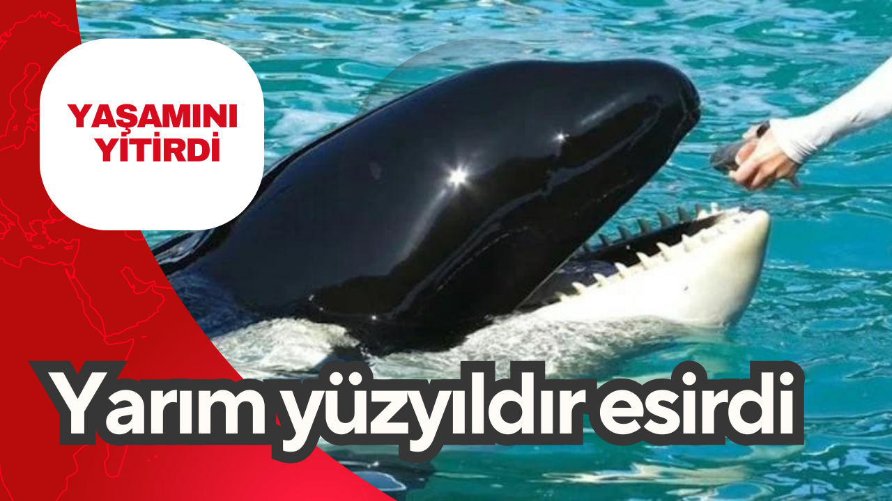 Yarım yüzyıldır esirdi, yaşamını yitirdi