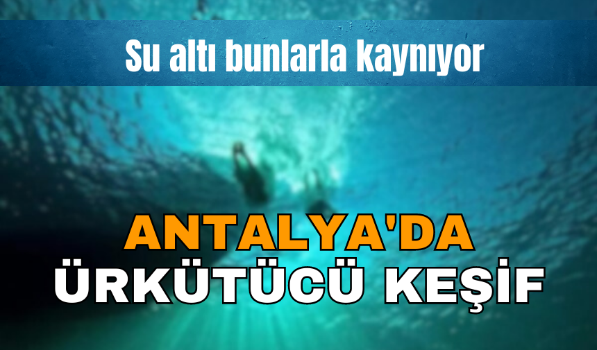 ANTALYA'DA ÜRKÜTÜCÜ SUALTI KEŞFİ