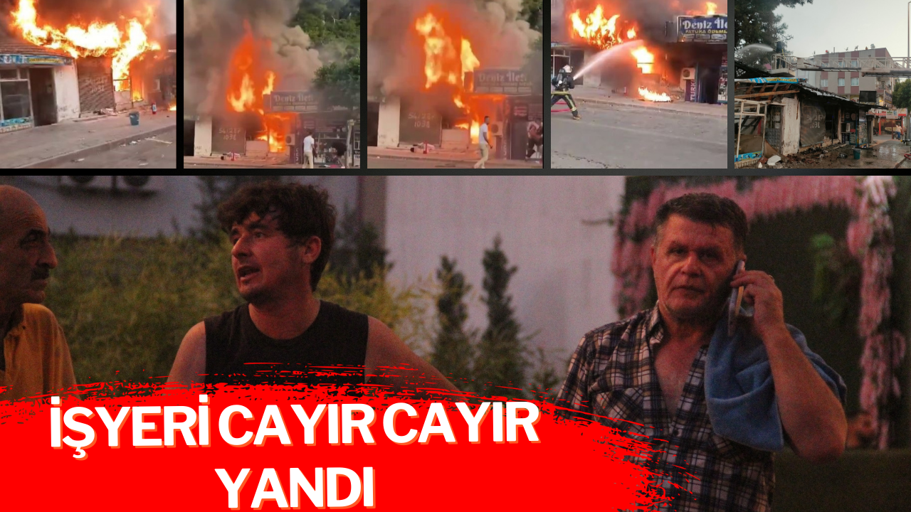 Sokak sanatçısı cayır cayır yandı