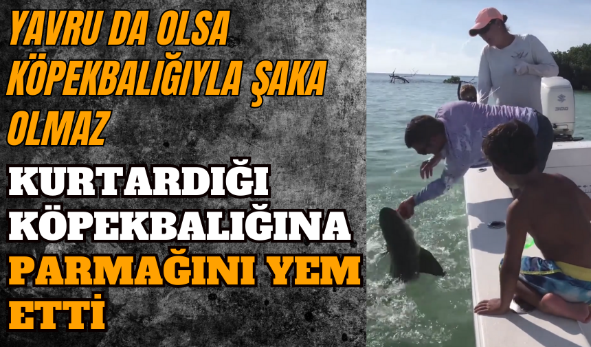 KURTARDIĞI KÖPEKBALIĞINA PARMAĞINI YEM ETTİ