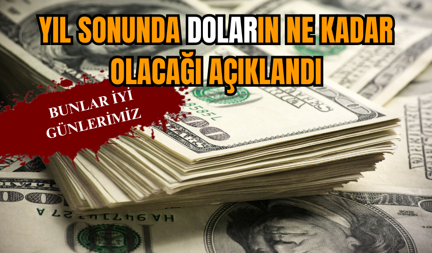 Yıl sonunda doların ne kadar olacağı açıklandı