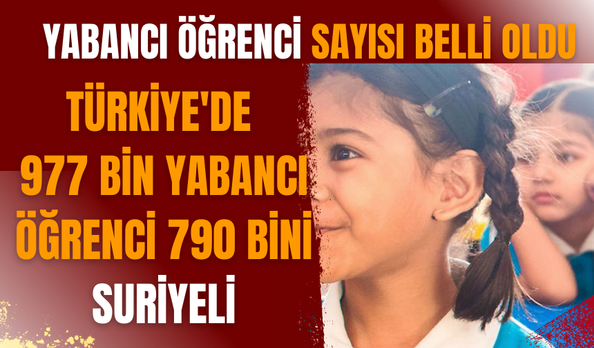 Türkiye'de 977 bin yabancı öğrenci, 790 bini Suriyeli