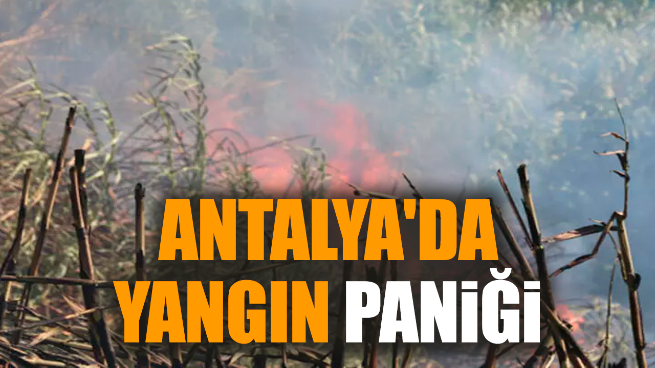 Antalya Muratpaşa'da korkutan yangın paniği