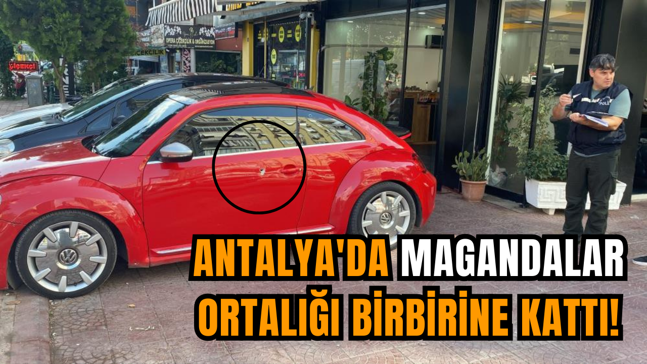 Antalya'da magandalar ortalığı birbirine kattı!