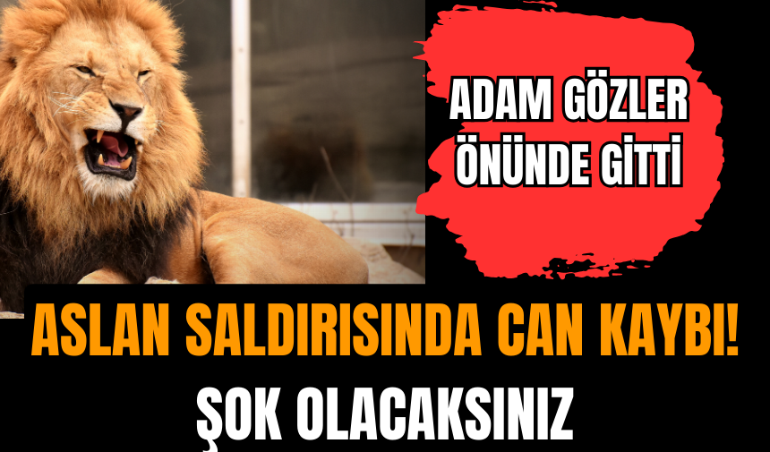 Aslan saldırısında can kaybı! Şok olacaksınız