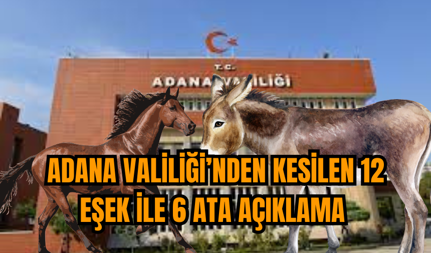 Adana Valiliği'nden kesilen 12 eşek ile 6 ata açıklama 