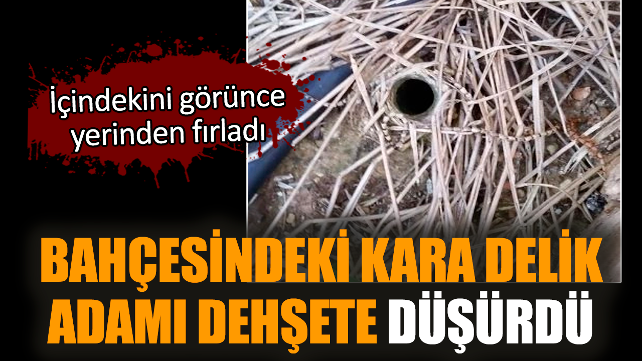 Bahçesindeki kara delik adamı dehşete düşürdü