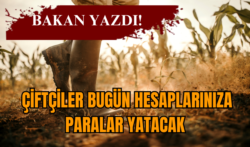 Bakan yazdı! Çiftçiler bugün hesaplarınıza, paralar yatacak