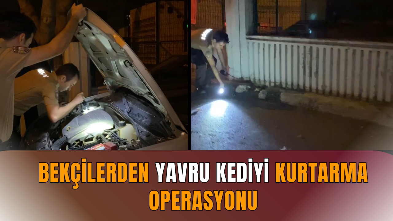 Bekçilerden yavru kediyi kurtarma operasyonu