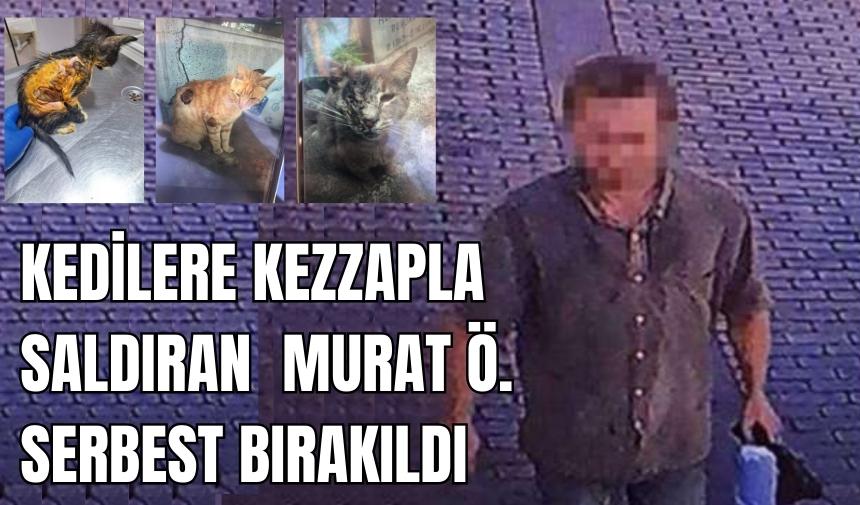 Kezzaplı cani ilk mahkemede serbest bırakıldı