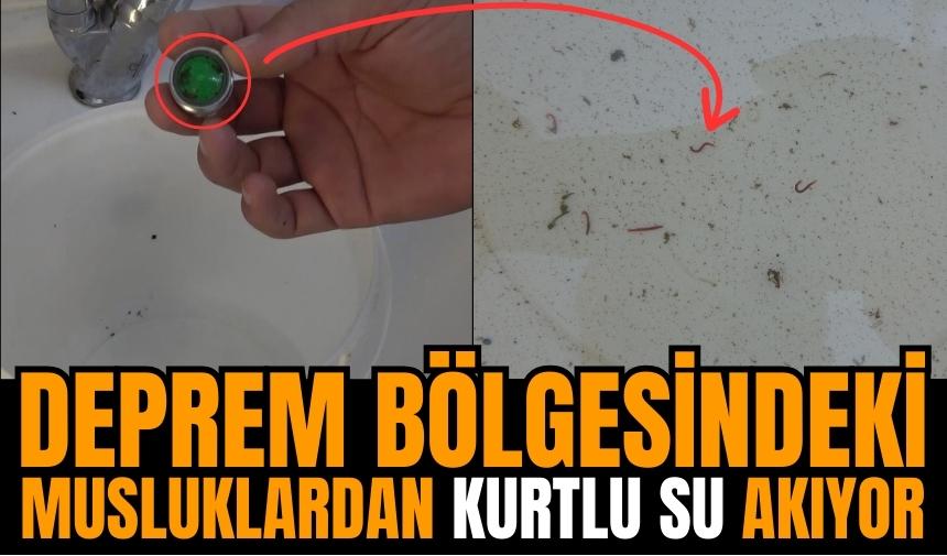 Deprem bölgesindeki musluklardan kurtlu su akıyor