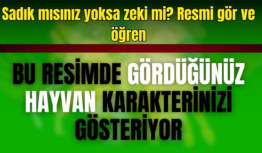 Bu resimde gördüğünüz hayvan karakterinizi gösteriyor