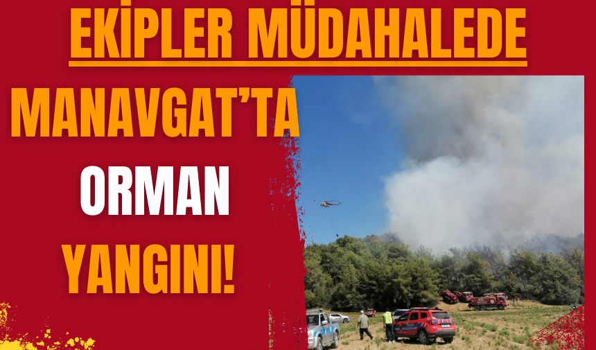 Manavgat’ta orman yangını! Ekipler müdahalede