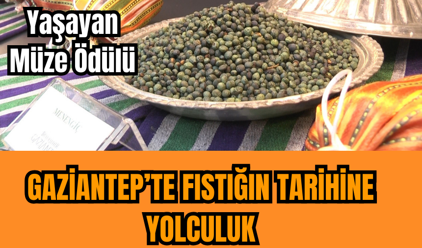 Gaziantep’te fıstığın tarihine yolculuk   