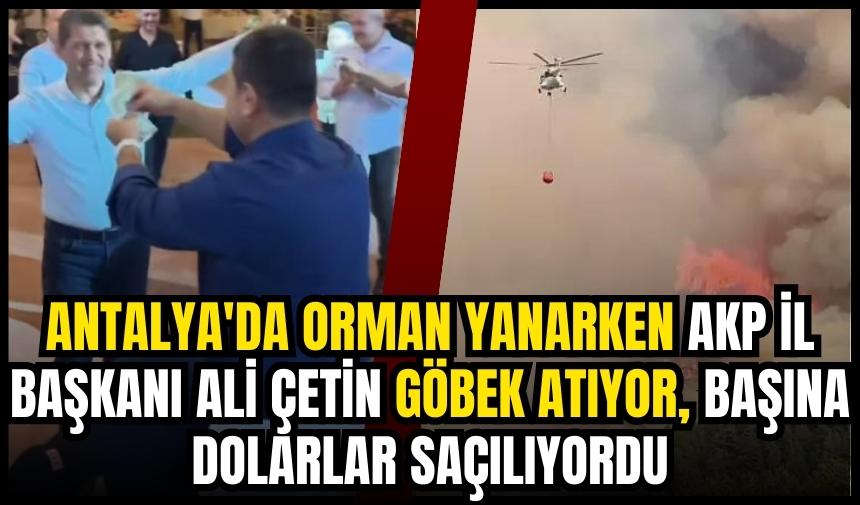 Antalya’da orman yanarken AKP İl Başkanı göbek atıyor başına dolarlar saçılıyordu