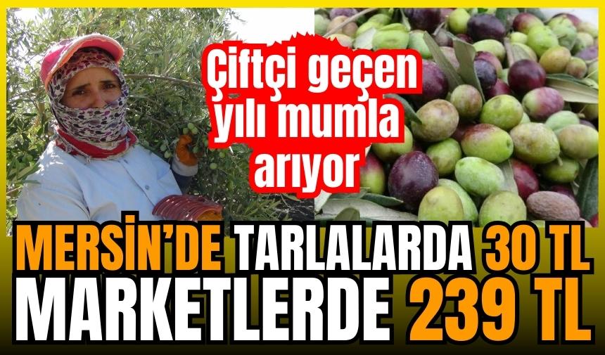 Mersin'de tarlalarında kilosu 30 markette 239 TL