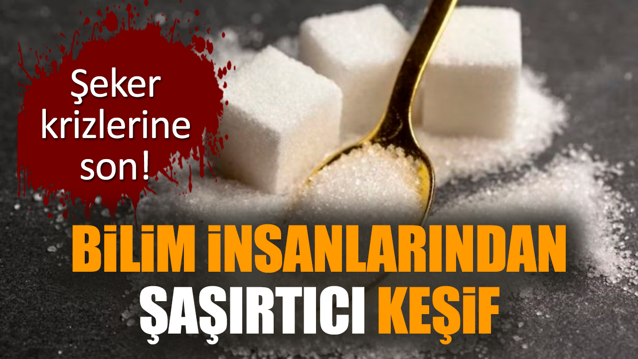 Bilim insanlarından şaşırtıcı keşif: Şeker krizlerine son!