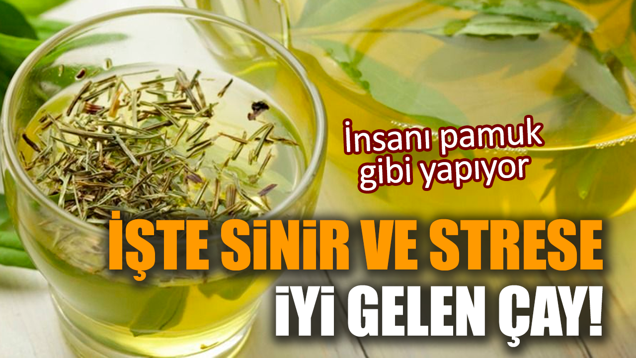 İşte sinir ve strese iyi gelen çay!İnsanı pamuk gibi yapıyor