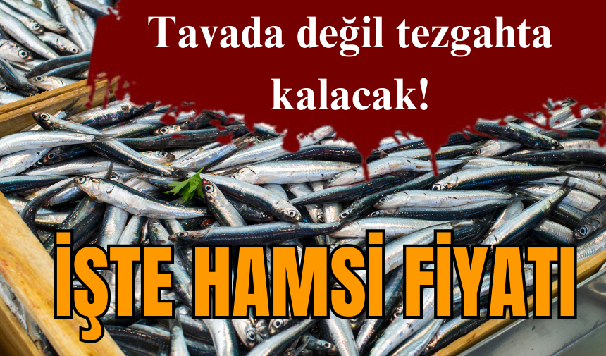 Tavada değil tezgahda kalacak! İşte hamsi fiyatı